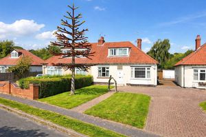 Photo 1- click for photo gallery